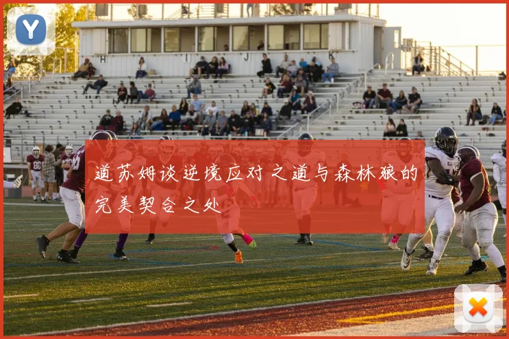 道苏姆谈逆境应对之道与森林狼的完美契合之处